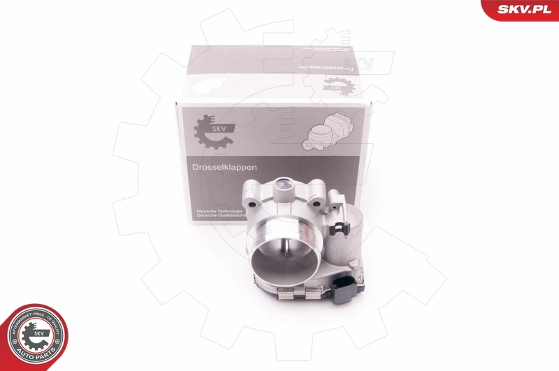 Throttle Body